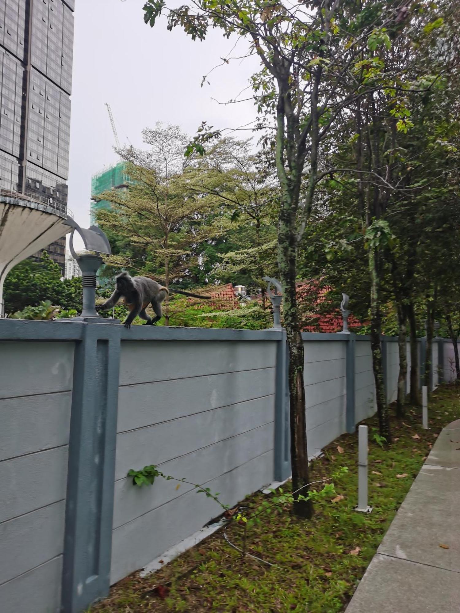 Pangsapuri 禧酒店 *